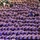 NJROTC National Championships 2022 NJROTC National Championships 2022