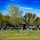 NJROTC National Championships 2022 NJROTC National Championships 2022