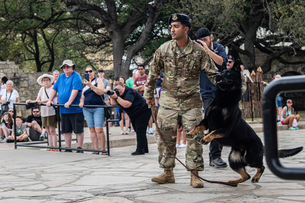 Fiesta Air Force Day at the Alamo