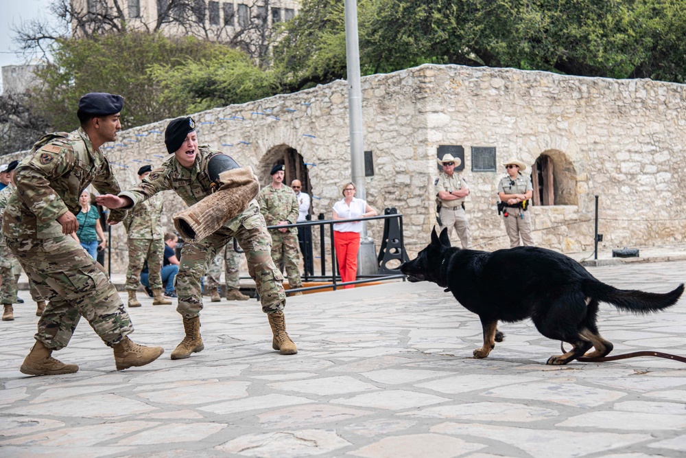 Fiesta Air Force Day at the Alamo