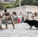 Fiesta Air Force Day at the Alamo