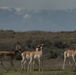 Idaho Army National Guard - March Training, Prep Work