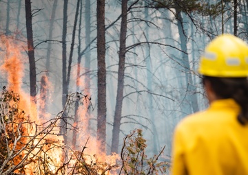 Controlled Burns on Quantico