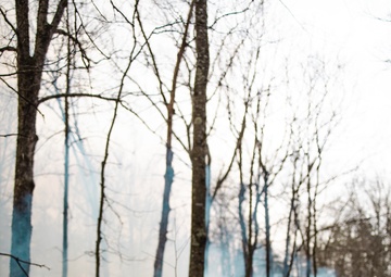 Controlled Burns on Quantico