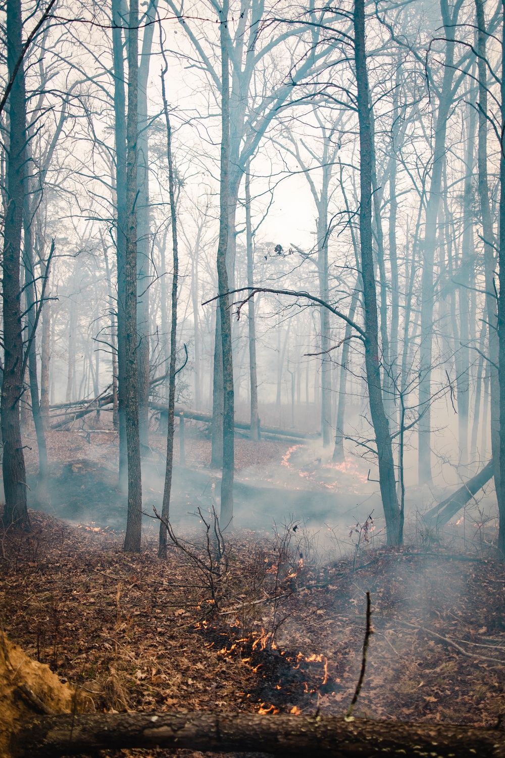 Controlled Burns on Quantico