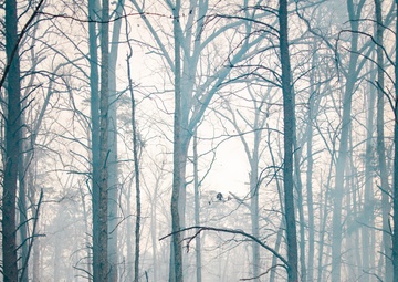 Controlled Burns on Quantico