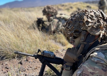 Army Reserve Soldiers and Leaders Shaping Tomorrow