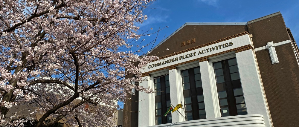 Commander Fleet Activities Yokosuka Cherry Blossoms