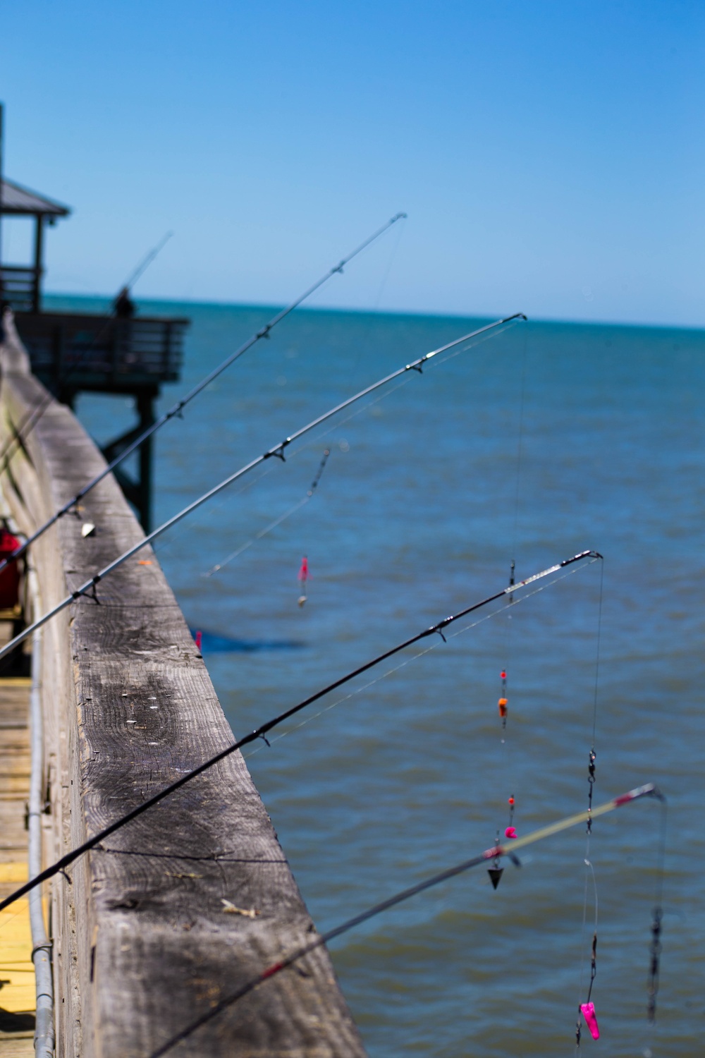 Family Fishing Day