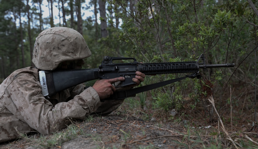 Delta Company Crucible