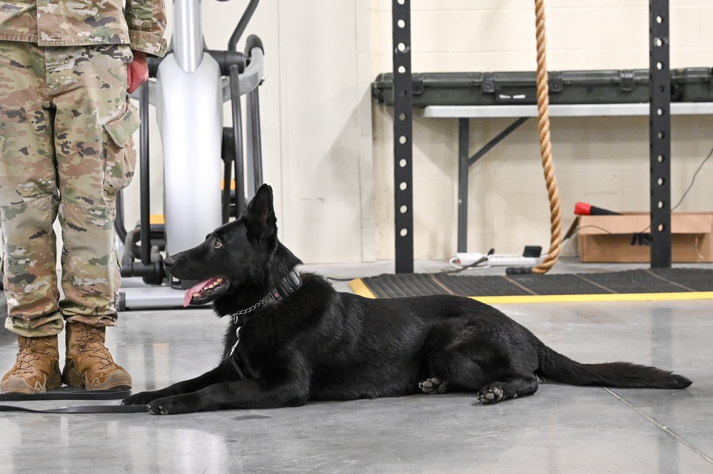 MWD Tusko retires after nine years of honorable service