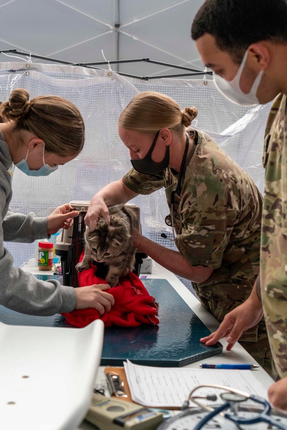 Veterinary Treatment Facility Yokosuka hosts bi-annual vet clinic