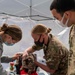 Veterinary Treatment Facility Yokosuka hosts bi-annual vet clinic