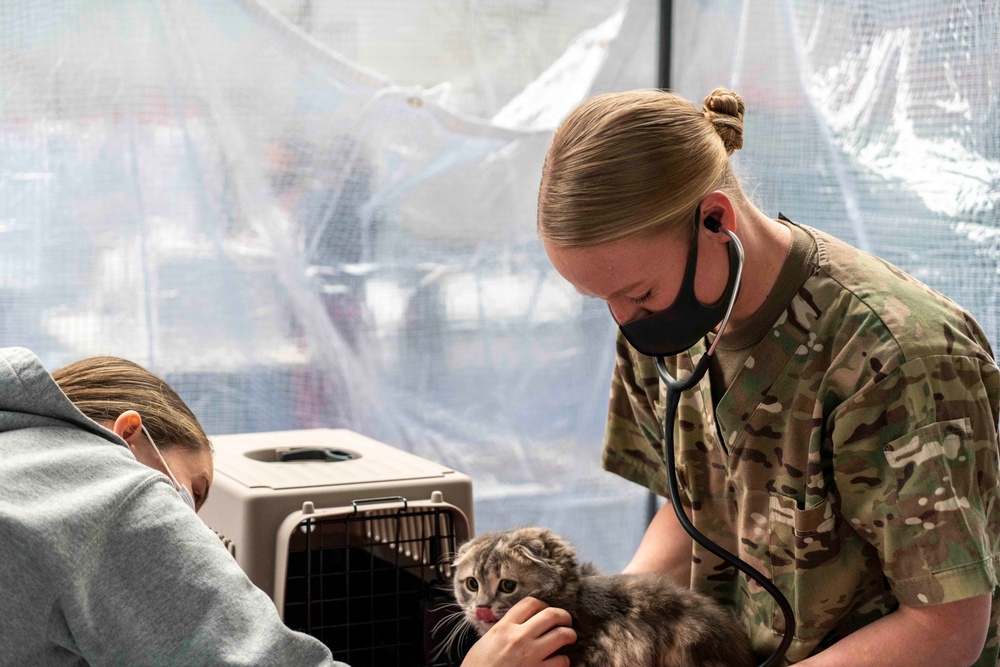 Veterinary Treatment Facility Yokosuka hosts bi-annual vet clinic