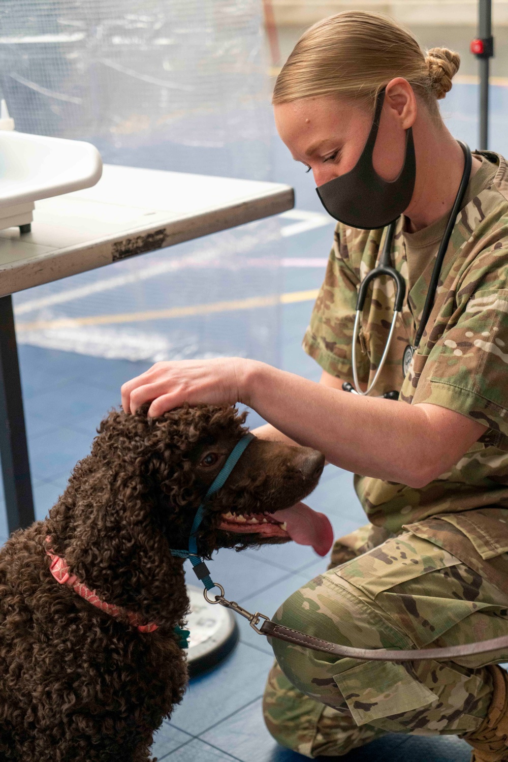 Veterinary Treatment Facility Yokosuka hosts bi-annual vet clinic