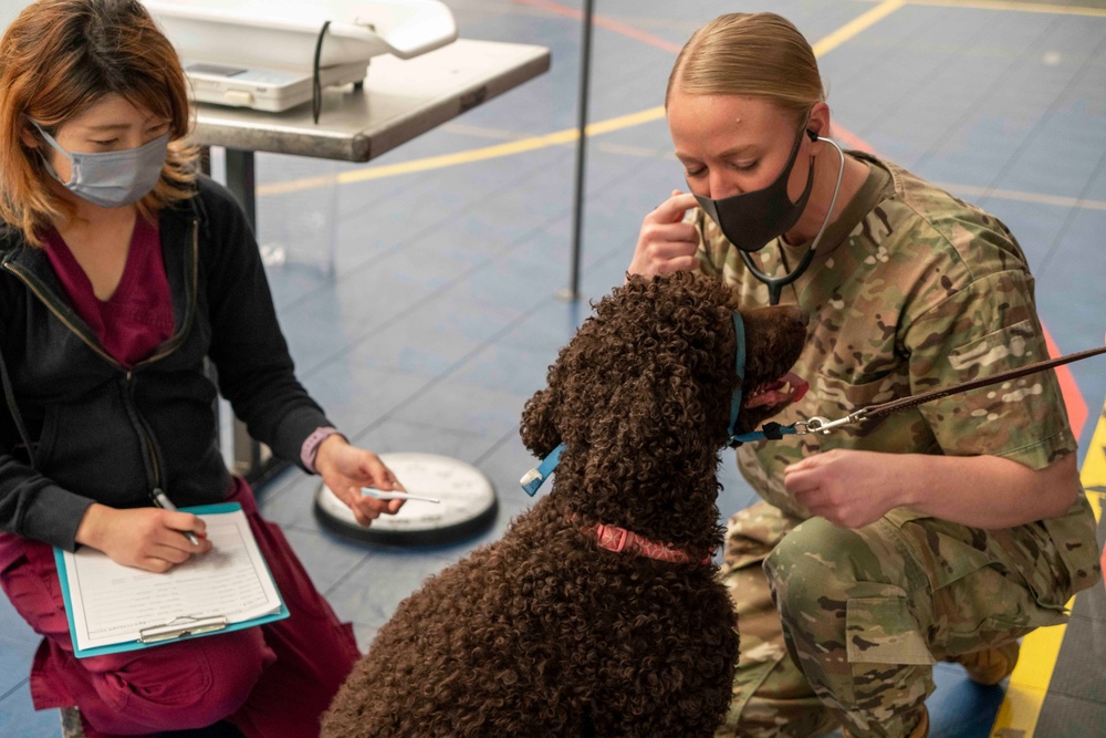 Veterinary Treatment Facility Yokosuka hosts bi-annual vet clinic