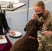 Veterinary Treatment Facility Yokosuka hosts bi-annual vet clinic