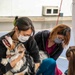 Veterinary Treatment Facility Yokosuka hosts bi-annual vet clinic