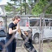 Fetching latest winners of April Foolish Dog Show