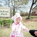 Fetching latest winners of April Foolish Dog Show