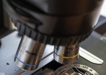 From big game to flying planes