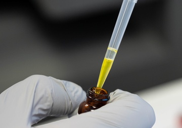 From big game to flying planes