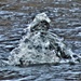 Fort McCoy Cold-Weather Operations Course class 22-06 training ops