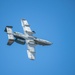 2022 Blue Bonnet Airshow