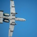 2022 Festival of Flight