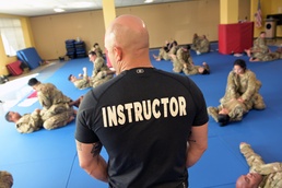 Air Force Combatives Program