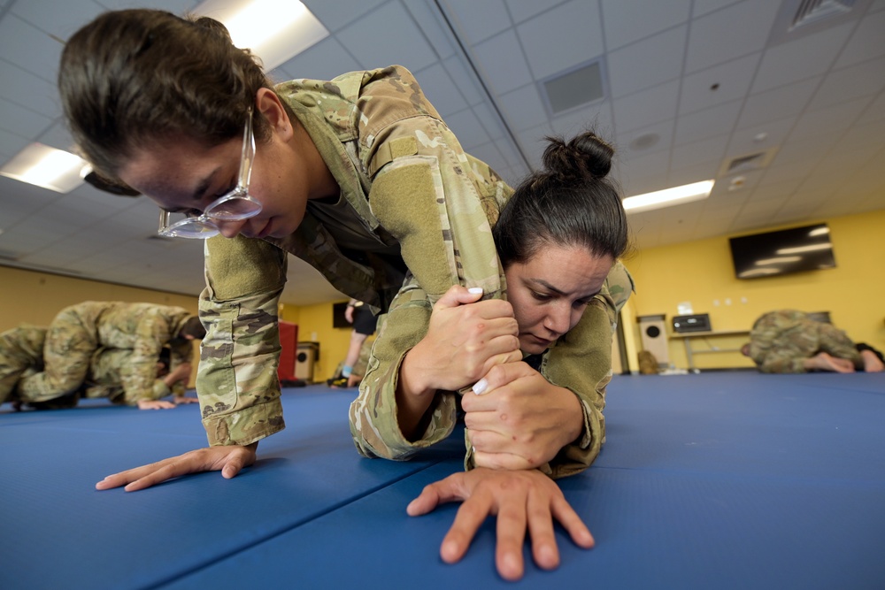 Air Force Combatives Program