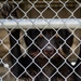 37 TRG Command Team Cleans MWD Kennels