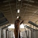 37 TRG Command Team Cleans MWD Kennels