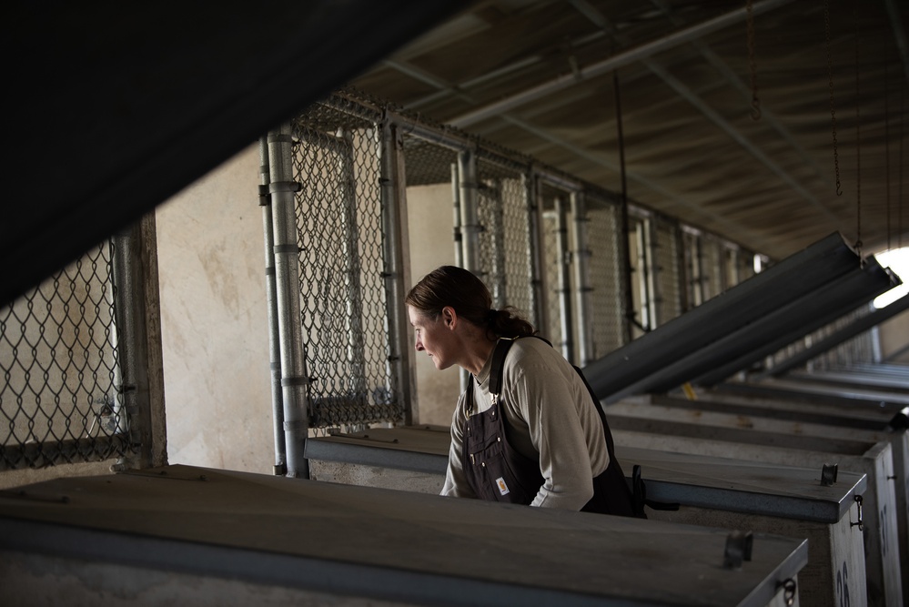 37 TRG Command Team Cleans MWD Kennels