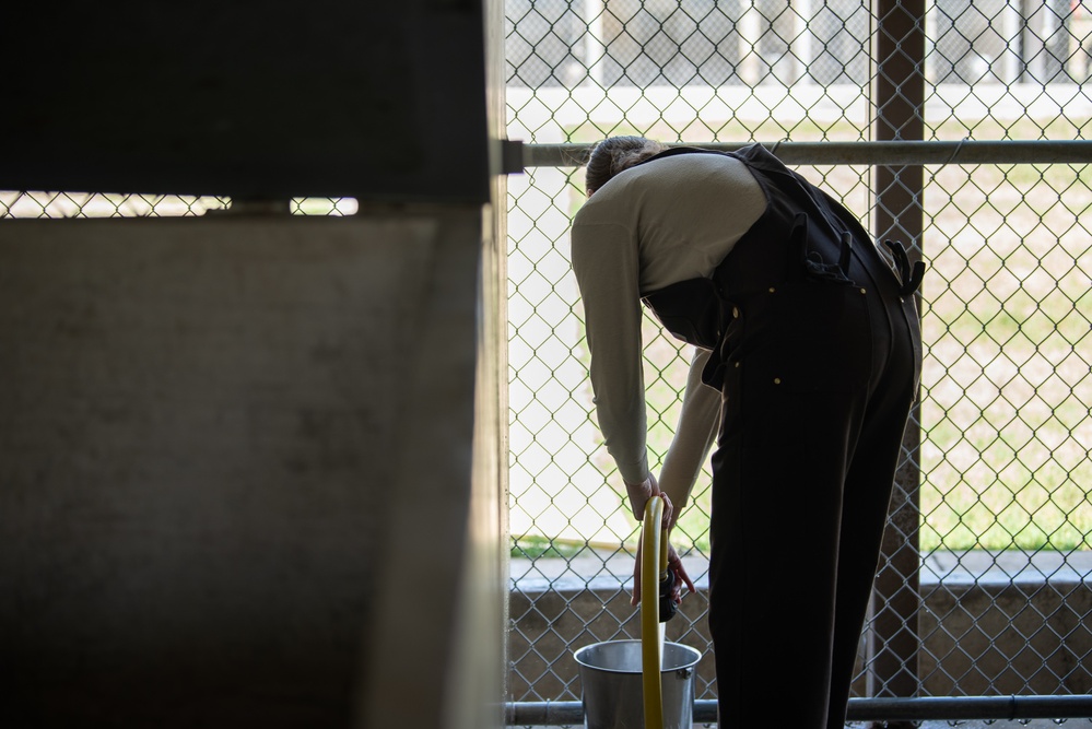 37 TRG Command Team Cleans MWD Kennels