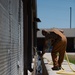 37 TRG Command Team Cleans MWD Kennels