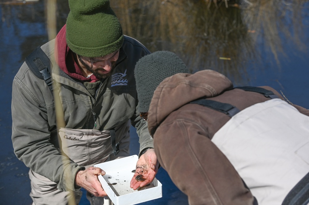 Amphibian habitat evaluation conducted at Hanscom