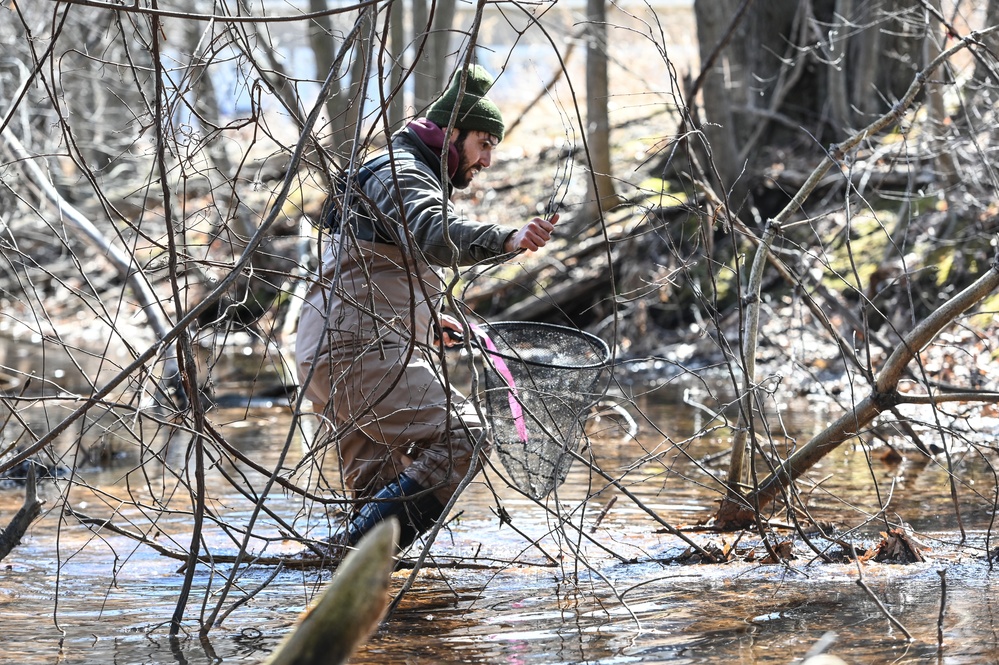 Amphibian habitat evaluation conducted at Hanscom