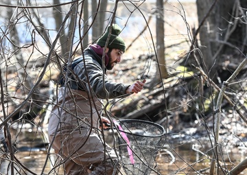 Amphibian habitat evaluation conducted at Hanscom