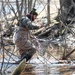 Amphibian habitat evaluation conducted at Hanscom