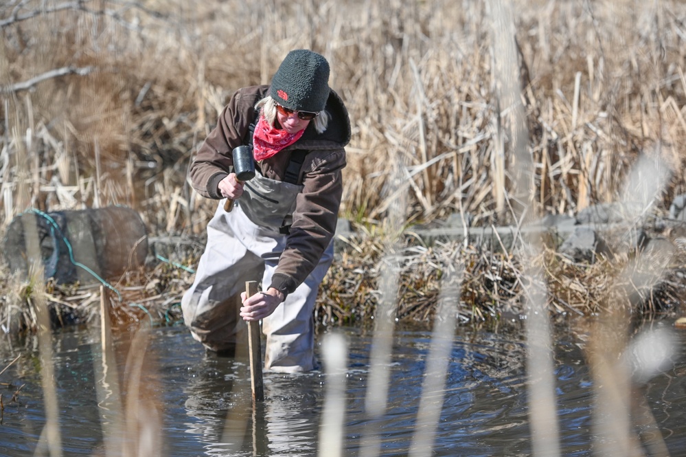 Amphibian habitat evaluation conducted at Hanscom