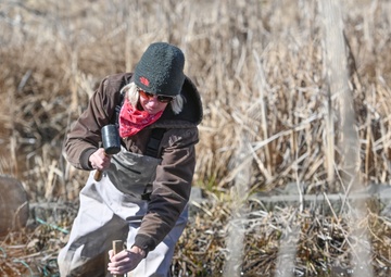 Amphibian habitat evaluation conducted at Hanscom