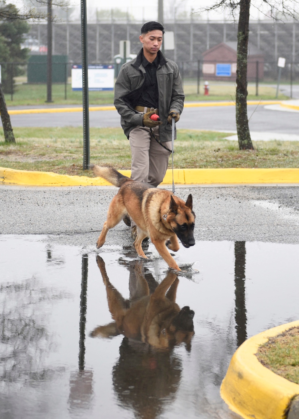 MWD team attends training, furthers capabilities