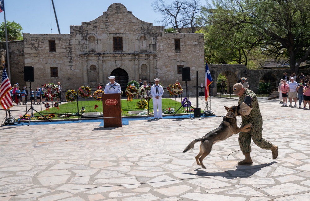 Navy Day at the Alamo