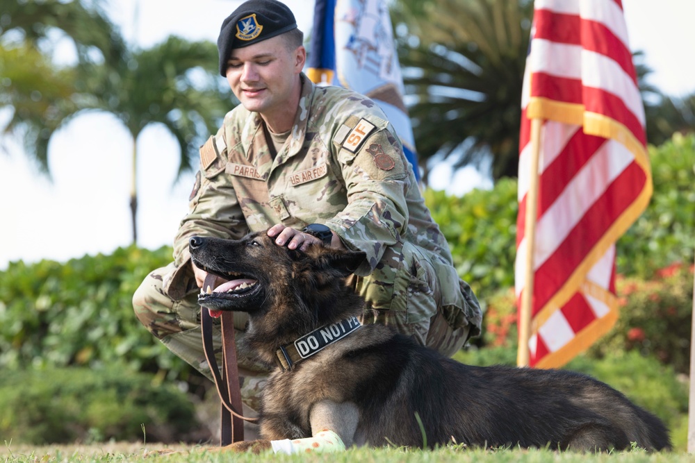 JBPHH MWDs Chewy and Zeus celebrate retirement