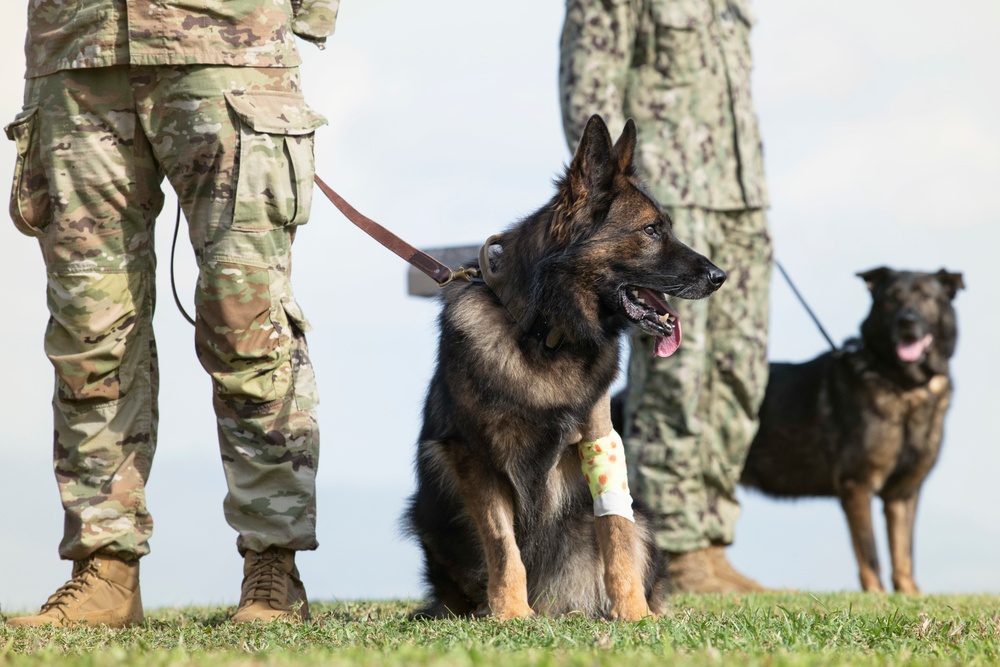 JBPHH MWDs Chewy and Zeus celebrate retirement