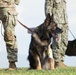 JBPHH MWDs Chewy and Zeus celebrate retirement