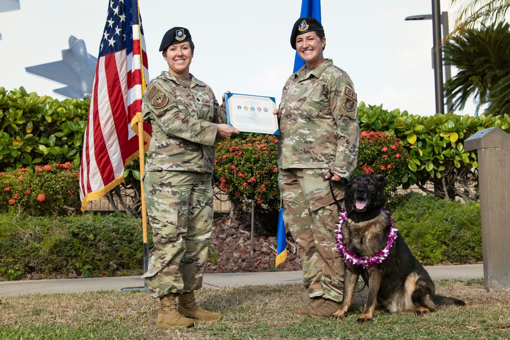 JBPHH MWDs Chewy and Zeus celebrate retirement