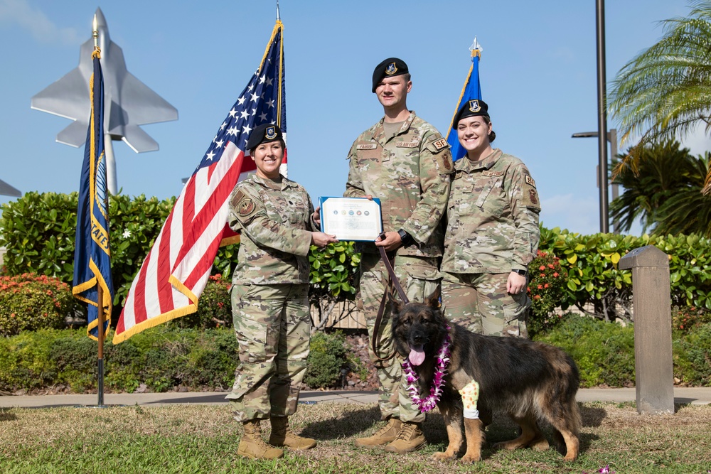 JBPHH MWDs Chewy and Zeus celebrate retirement