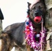 JBPHH MWDs Chewy and Zeus celebrate retirement